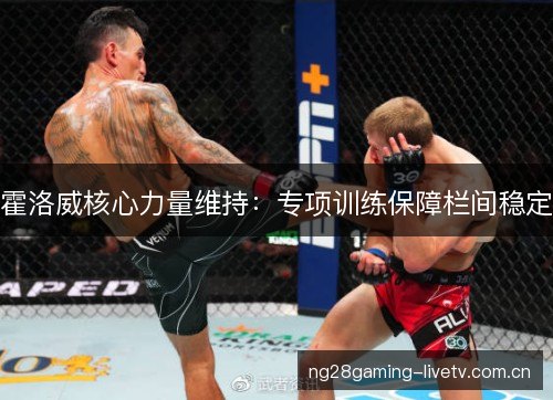 霍洛威核心力量维持:专项训练保障栏间稳定 霍洛威核心力量维持:专项训练保障栏间稳定