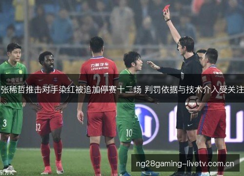 张稀哲推击对手染红被追加停赛十二场 判罚依据与技术介入受关注